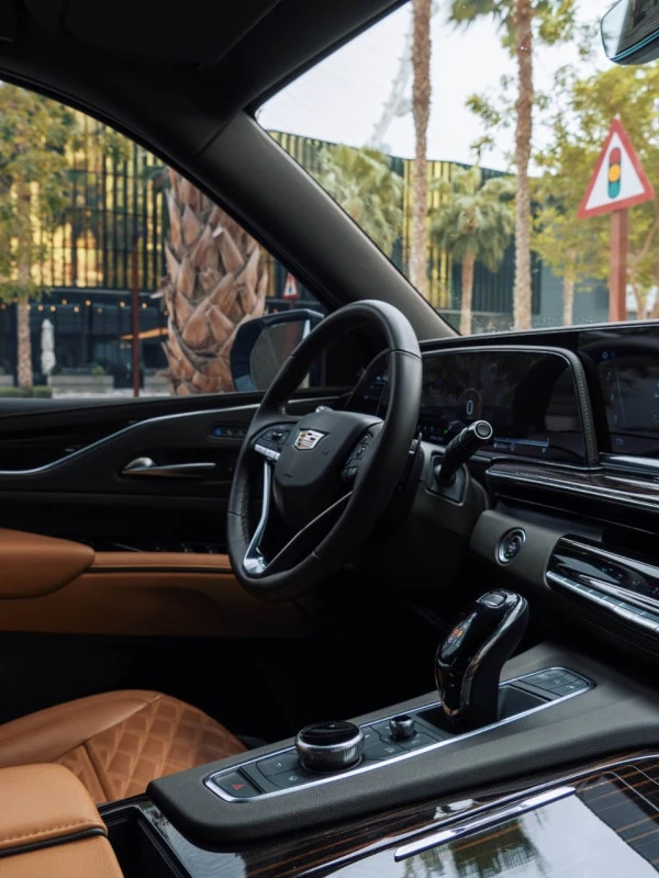  Black Cadillac Escalade Photo 3