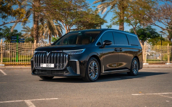  Black Voyah Dreamer Photo 4