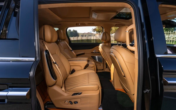  Black Voyah Dreamer Photo 7