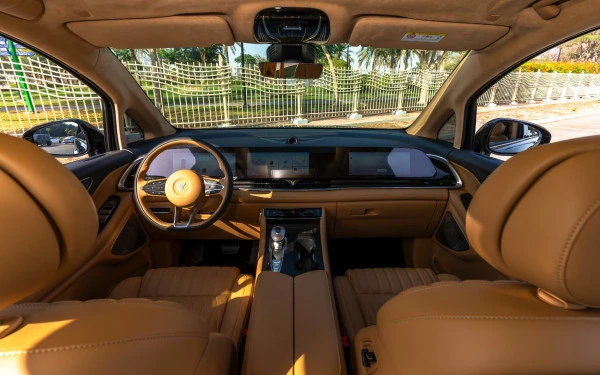  Black Voyah Dreamer Photo 8