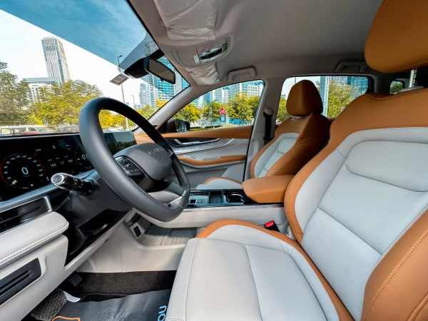  Grey Exeed LX Photo 8