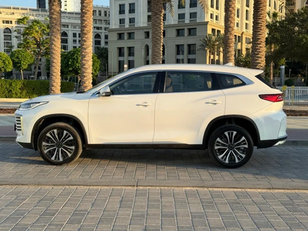  Grey Exeed TXL Photo 3