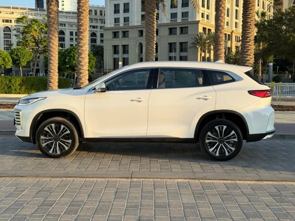  Grey Exeed TXL Photo 3