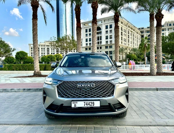  Grey Haval H6 Photo 8