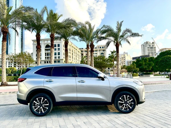  Grey Haval H6 Photo 9
