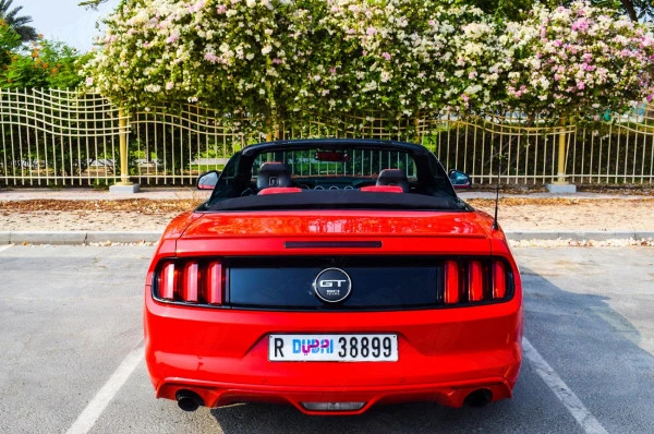  Red Ford Mustang Convertible Photo 3