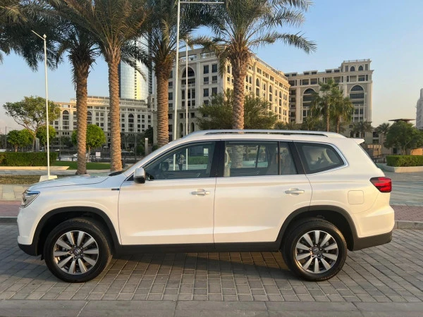  White MG RX8 Photo 3